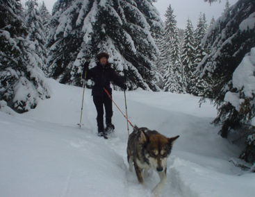 Cani-raquettes dans les montagnes du Jura